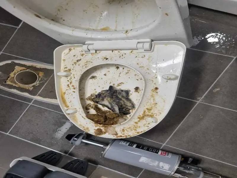 양천구 변기막힘 작업사례 6