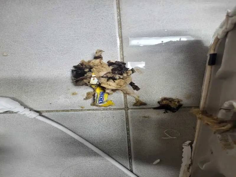 양천구 배관 이물질 제거 사례 6